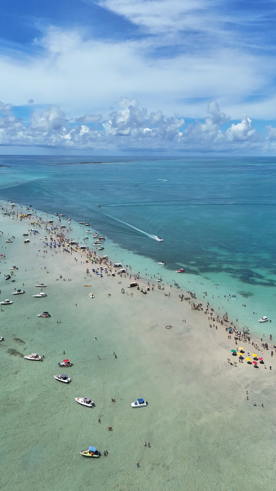 Catamara para as Piscinas Naturais de Maragogi