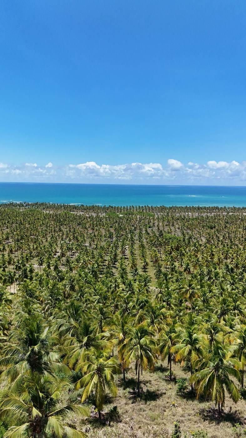 Combo Praia do Gunga + São Miguel dos Milagres + Banho de Lua (3 dias)
