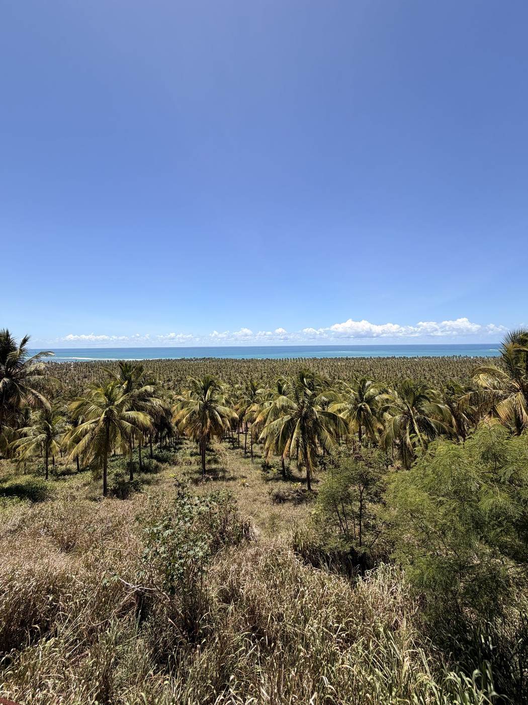 Combo Praia do Gunga + São Miguel dos Milagres + Banho de Lua (3 dias)