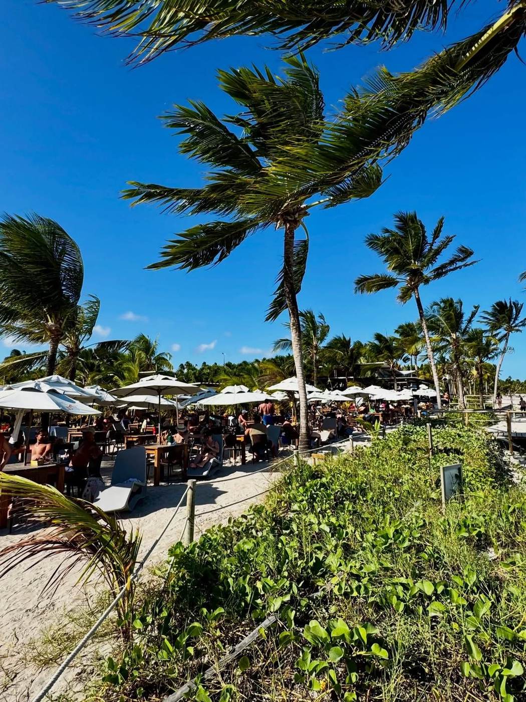 Hibiscus Beach Club – Ipioca