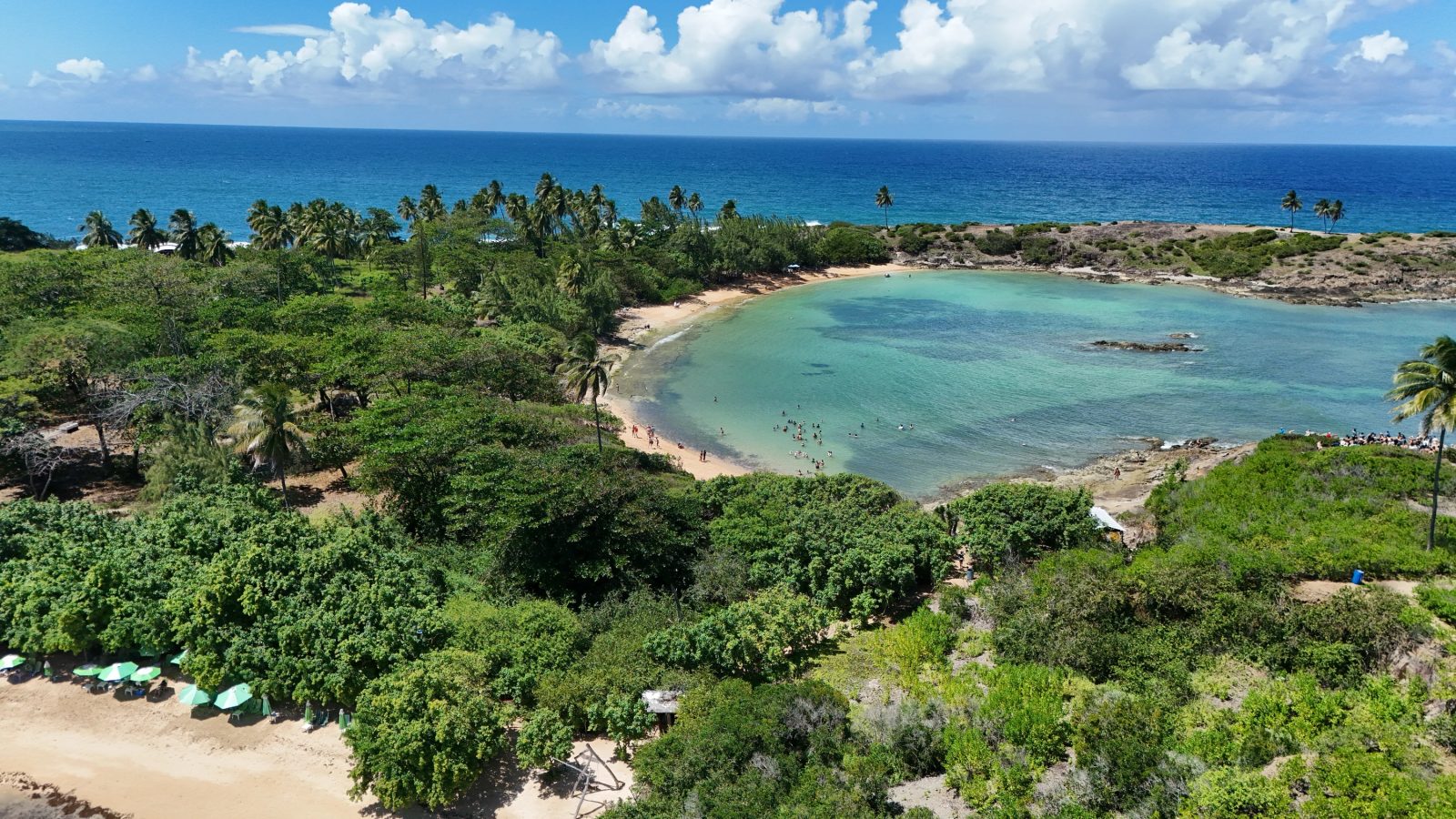 Ilha de Santo Aleixo com Lancha