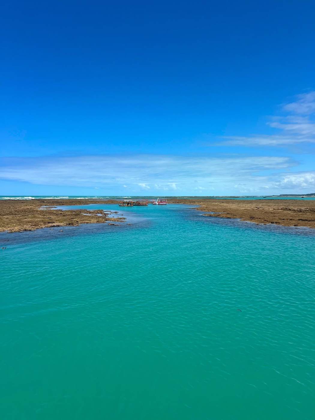 Combo Praia do Gunga + São Miguel dos Milagres + Banho de Lua (3 dias)