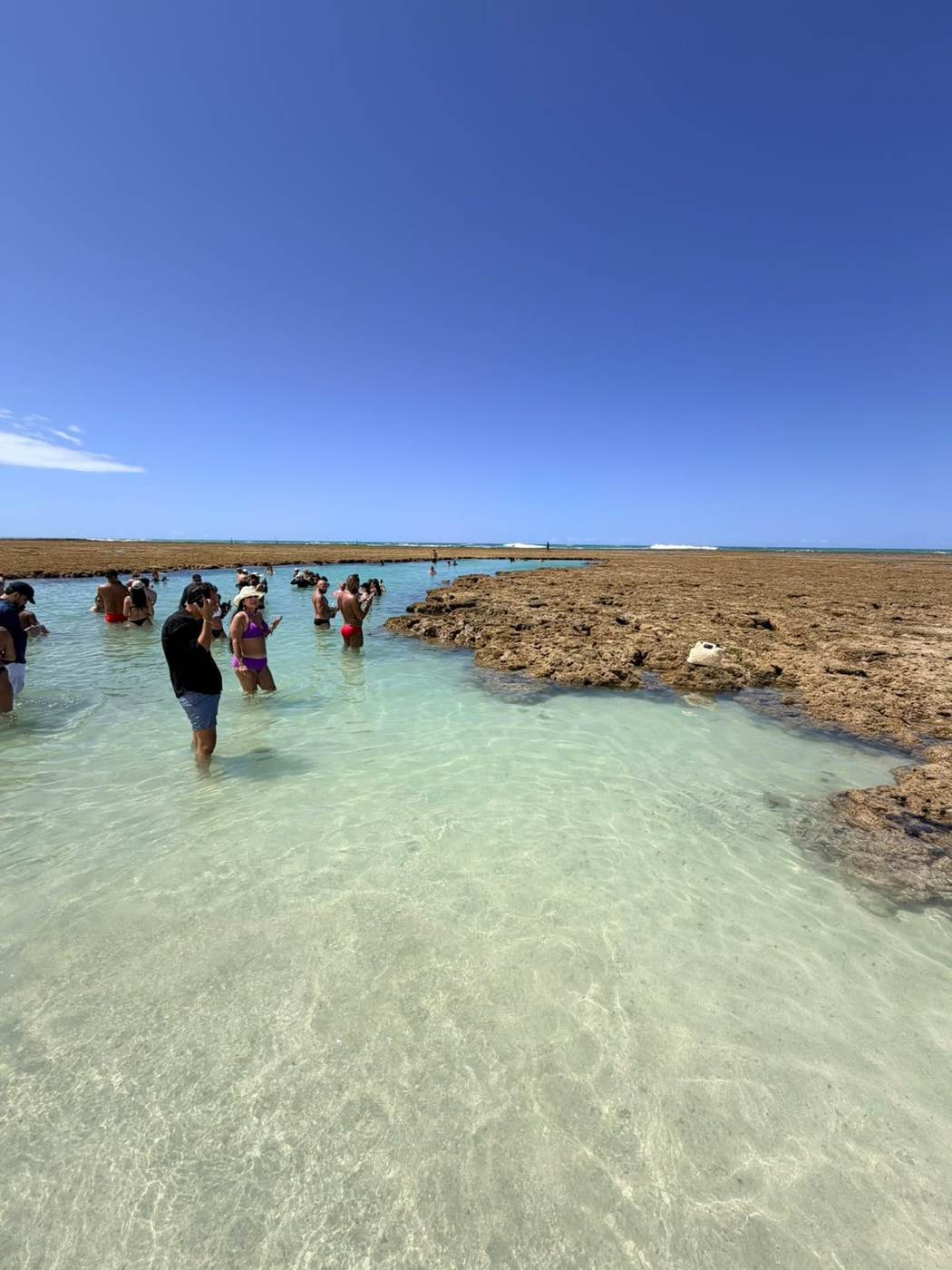 Combo Praia do Gunga + São Miguel dos Milagres + Banho de Lua (3 dias)