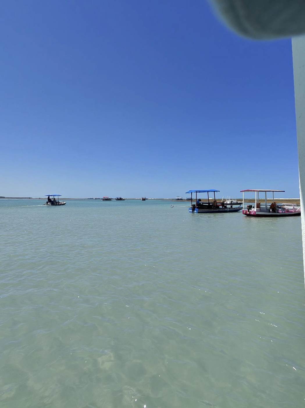 Combo Praia do Gunga + São Miguel dos Milagres + Banho de Lua (3 dias)