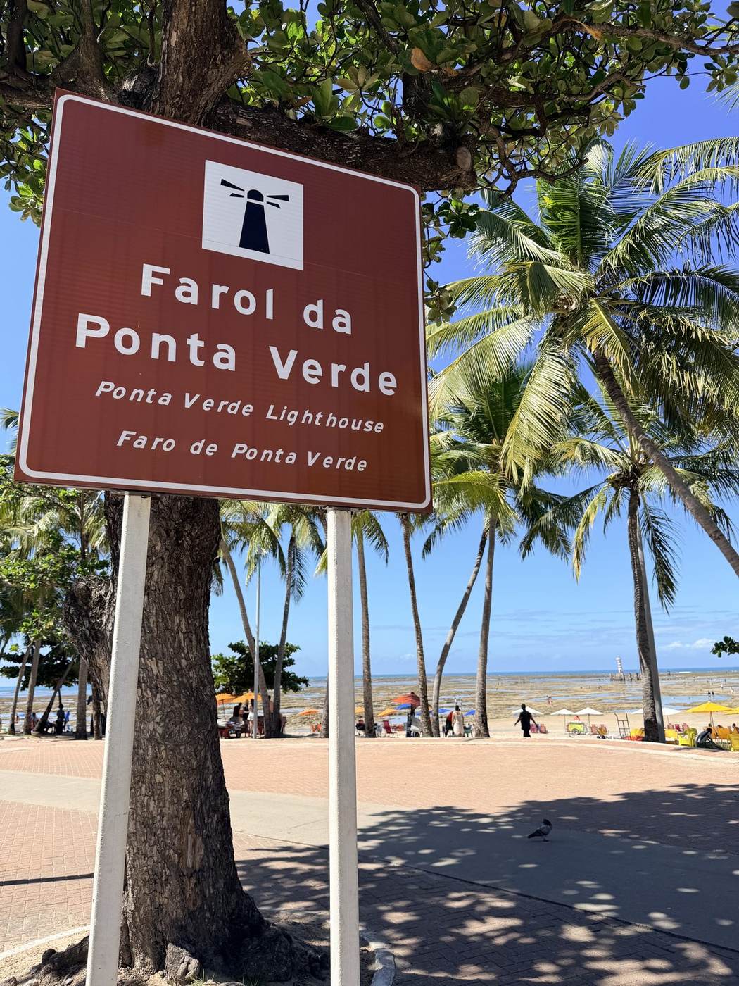 City Tour Maceió