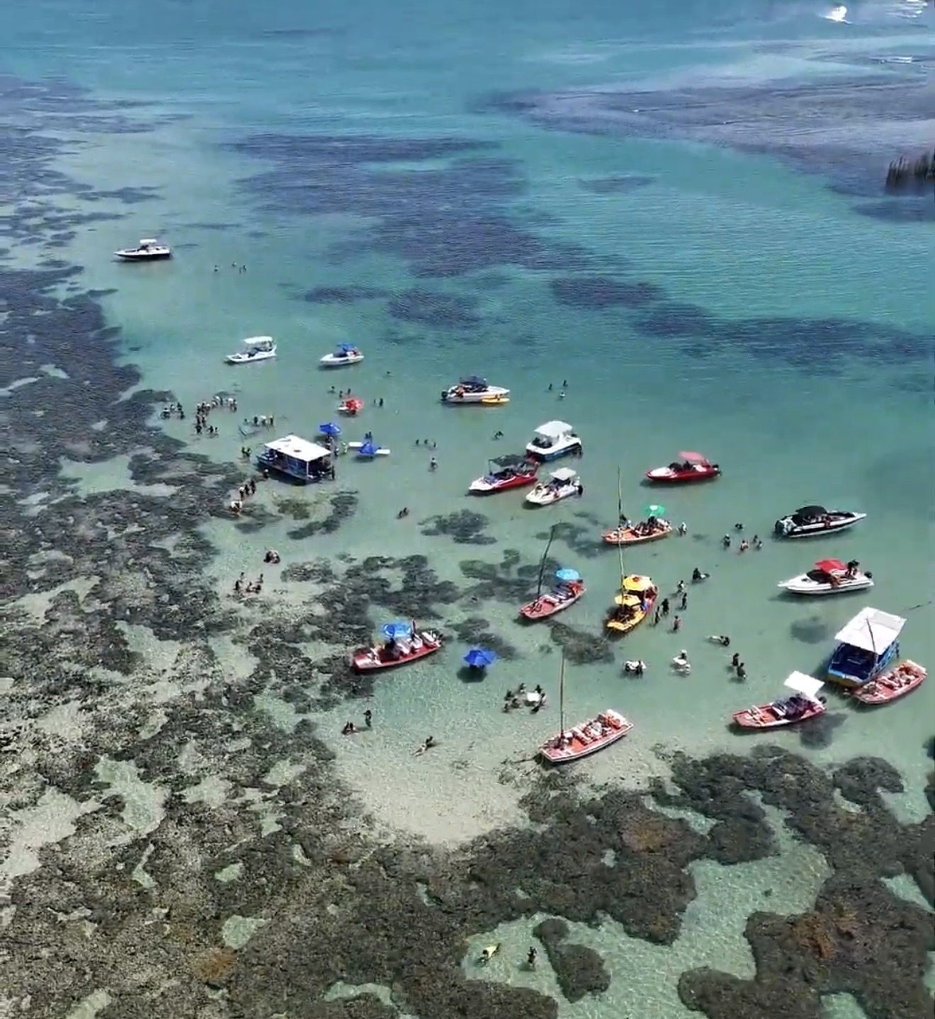 Piscinas Naturais de Pajuçara – Catamarã