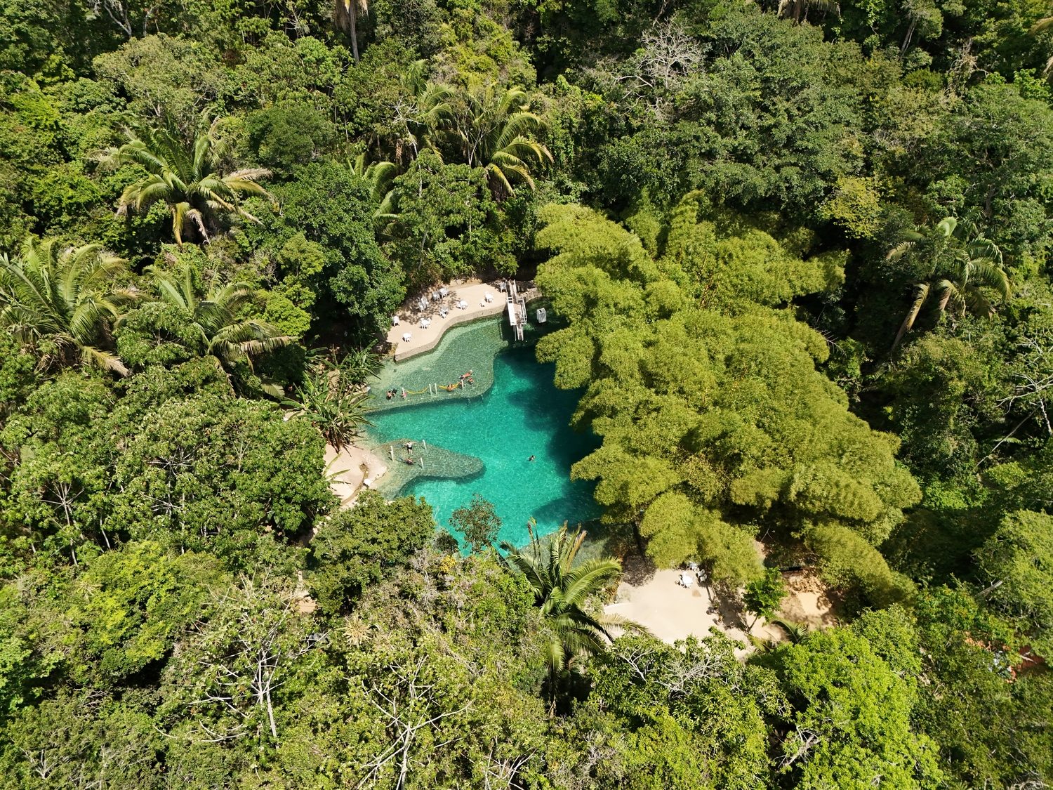 Passeio Privativo ao Santuário Ecológico Santa Tereza