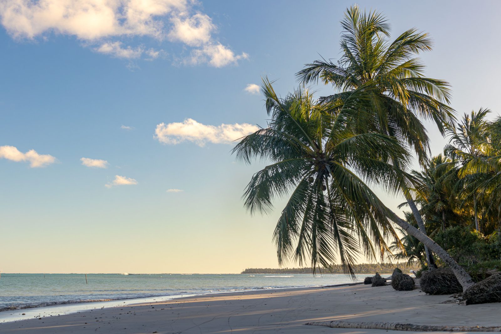 Transfer Privativo Recife para São Miguel dos Milagres